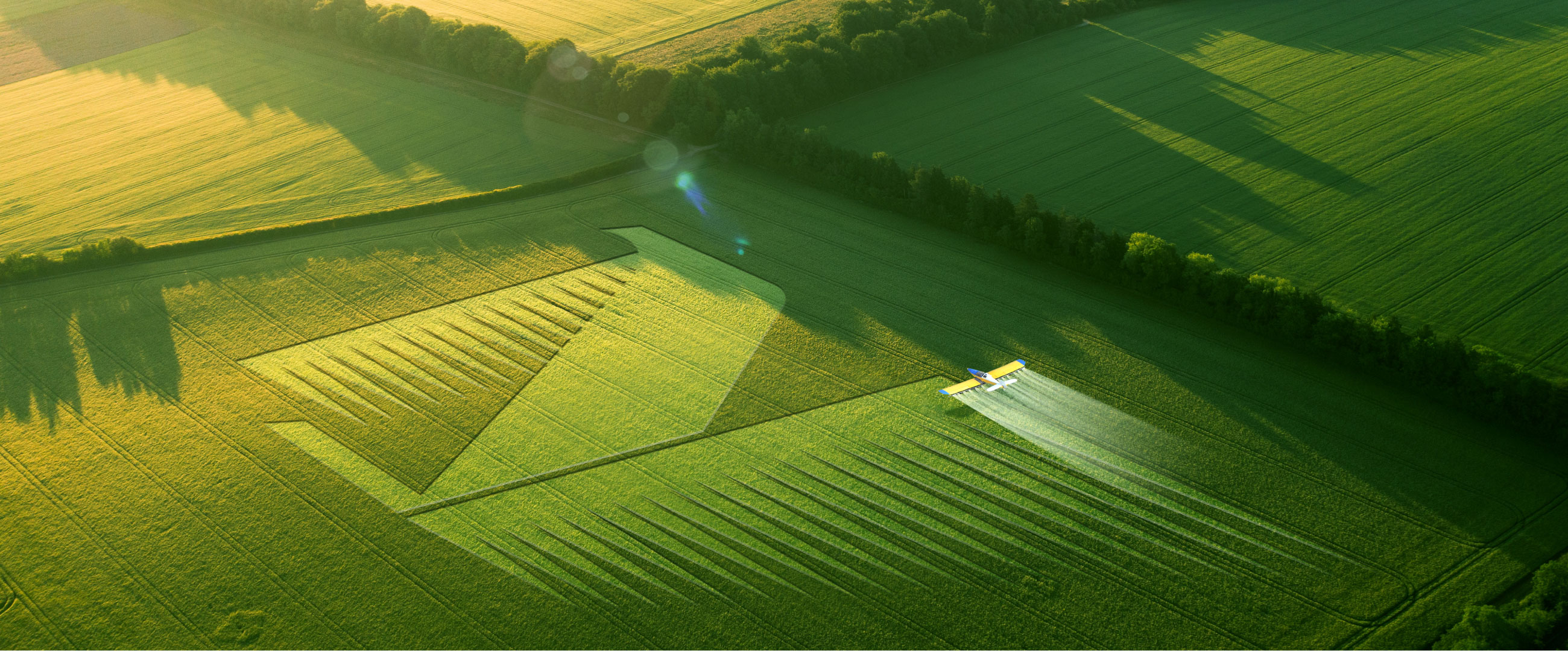 c8a7c7c4894948f196f723cfc5f070bb