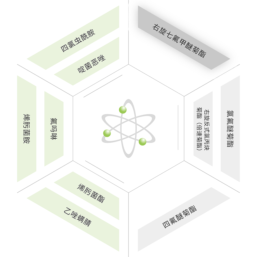 PP电子(中国)有限公司官网