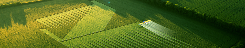 dfed745da02d4ec586c008dd0c26b681